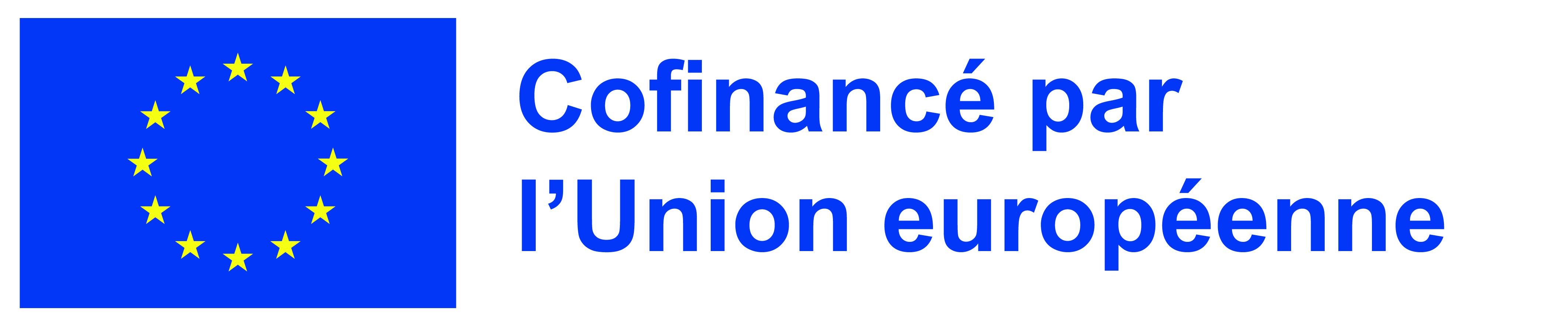 Logo UE.